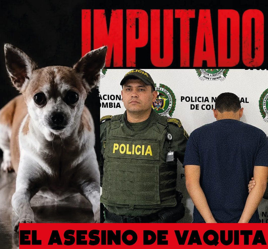 Plataforma ALTO tweet media
