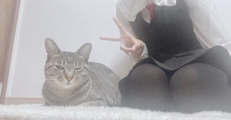 1341minto's tweet photo. テストの点数が悪くて低浮上になるかも😭
なので早めに投稿しますっ！
霊夢コスと小悪魔コス撮った時に猫ちゃんと撮った写真です！笑 うちの子（猫）可愛いでしょっ！✨
 #コスプレ  #東方project https://t.co/CxfGw5ASrT