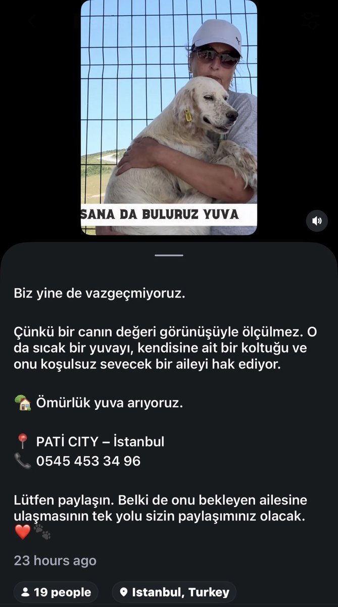 malaure_n's tweet photo. LÜTFEN YUVA BULMASINDA YARDIMCI OLALIM ONUNDA SEVİLECEĞİ SICAK BİR YUVASI OLSUN. https://t.co/OIg4uXg90M