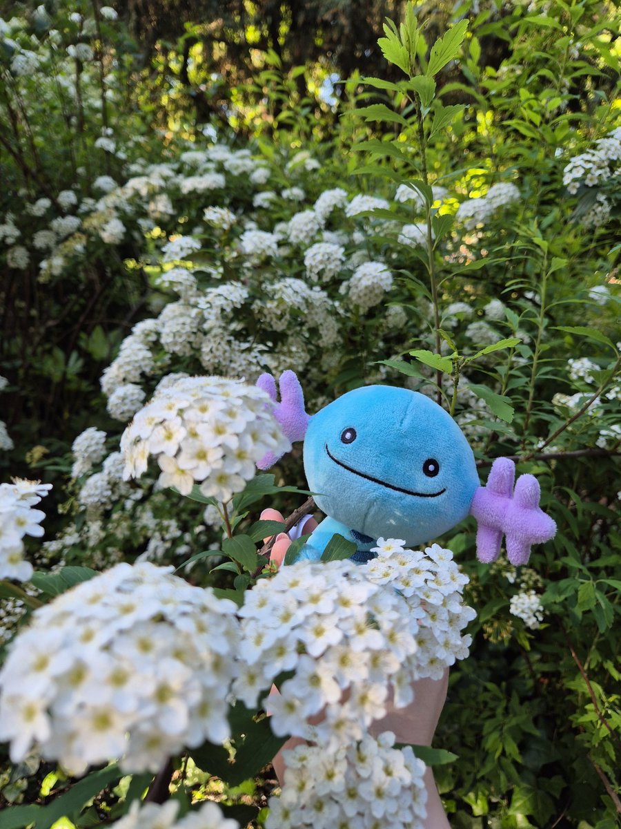 Neshiiko_'s tweet photo. @rexatronus My pwetty boi https://t.co/K06nBj3i1T