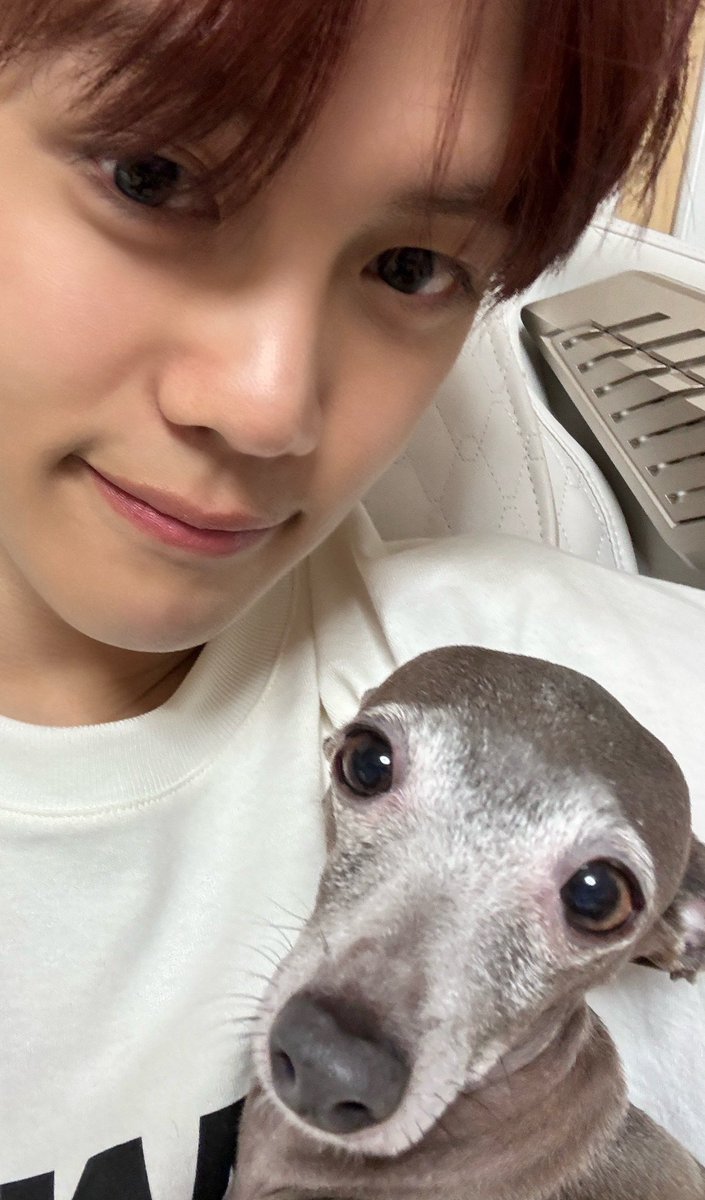 zerosieone's tweet photo. rest in peace, princess;;
you're so loved and will live in the hearts and memories of many🤍 https://t.co/hPvOmueCdr