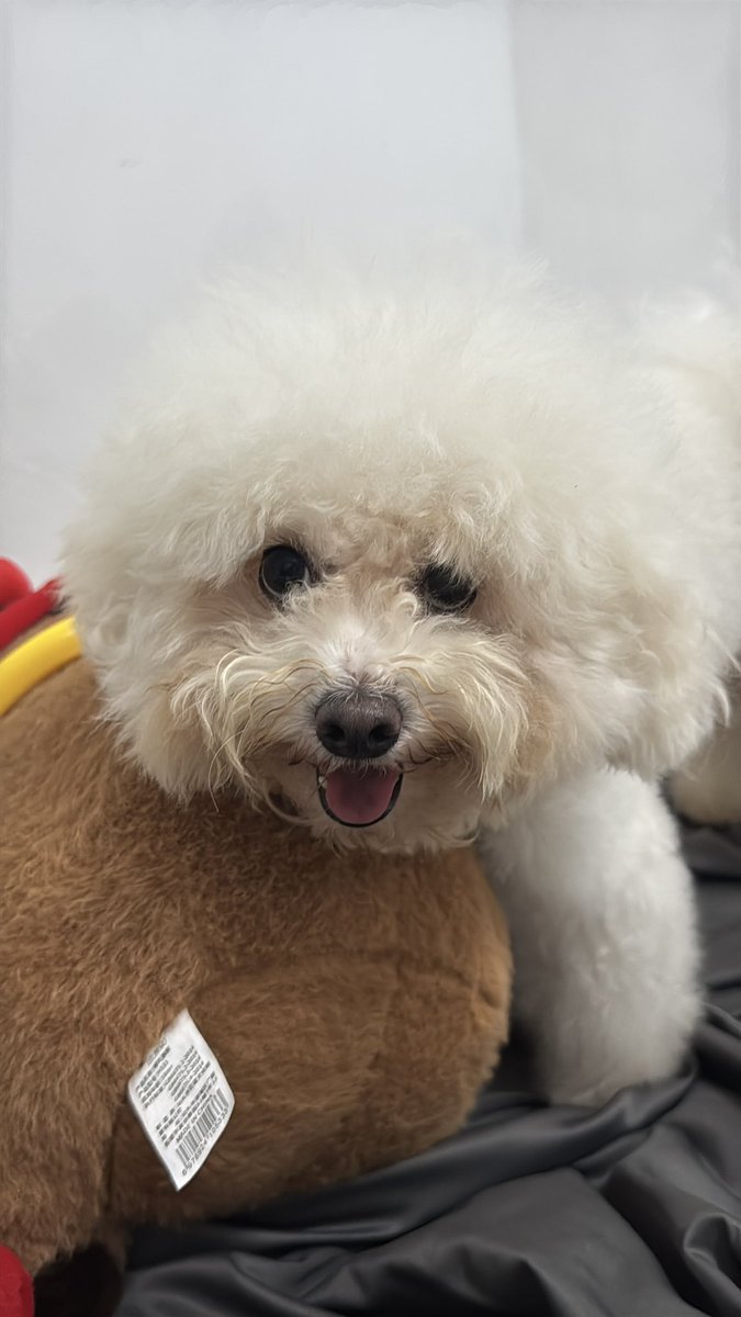 maxxx0809's tweet photo. 🥰 https://t.co/naWF6LUbLd