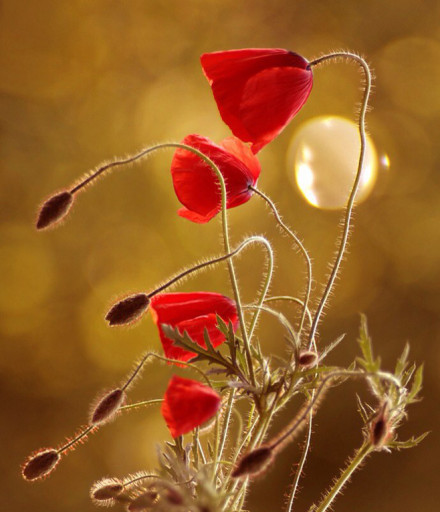 alwayslife's tweet photo. In your life, there will at least one time that you forget yourself for someone, asking for no result, no ownership nor love. Just ask for meeting you in my most beautiful years. https://t.co/cP9ykAjP5D
