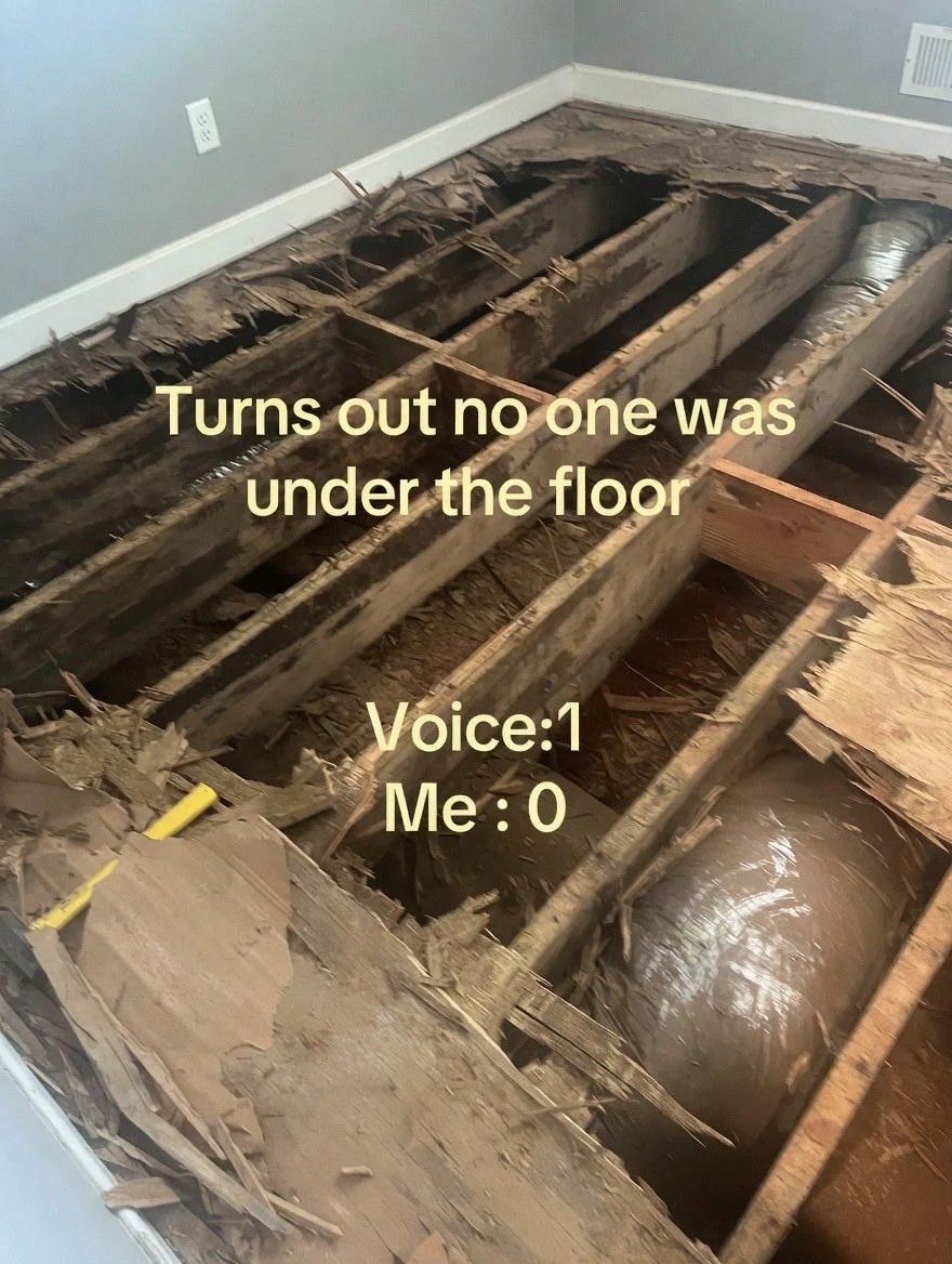 nocontextmemes's tweet photo. https://t.co/p7lh1BhpqM