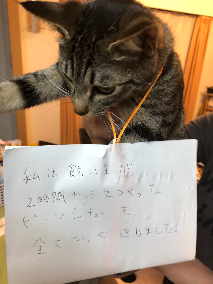 518Chiro's tweet photo. @cafeuha https://t.co/gIRe7dnAYB