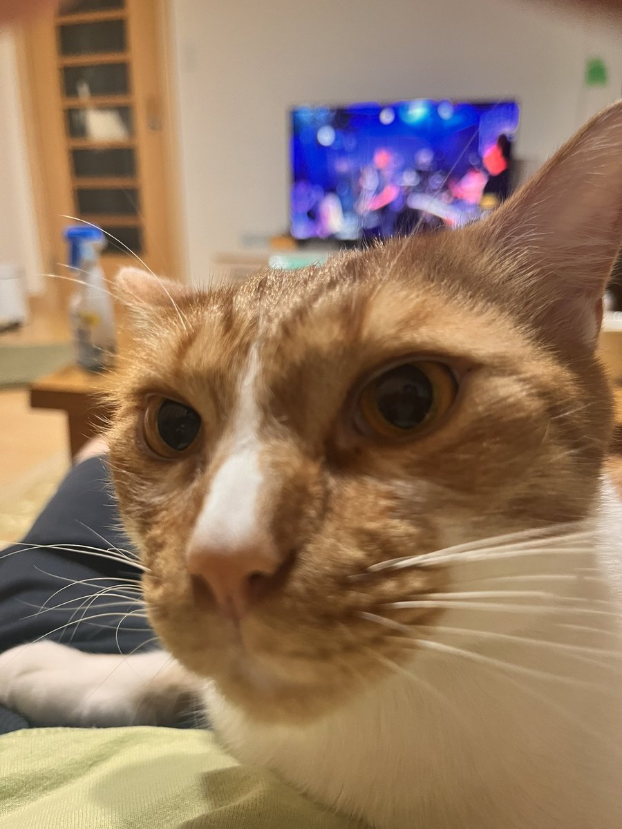 yamashort's tweet photo. フィジカルモンスター、トキコウジありがとう＆お疲れ様！
時空が歪んでもう月曜、AM5時からワールドカップ日本戦、私はどう生きるべきか https://t.co/lTXSBonrMk