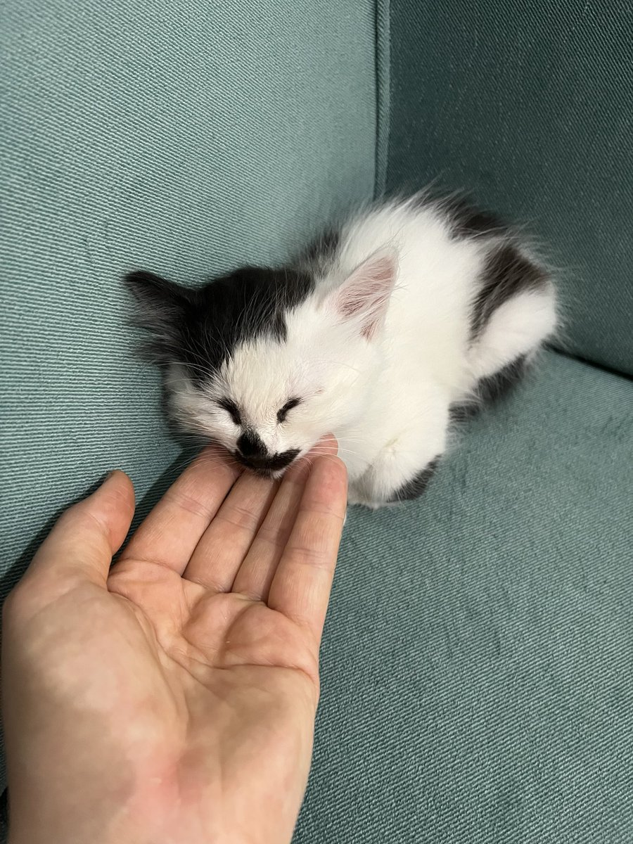 dkorkmaz__'s tweet photo. insana yakışan en güzel şey
merhamet https://t.co/P9WI6b5djn