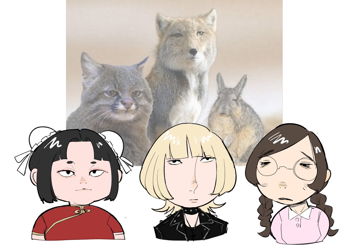 メタルきのこ tweet media