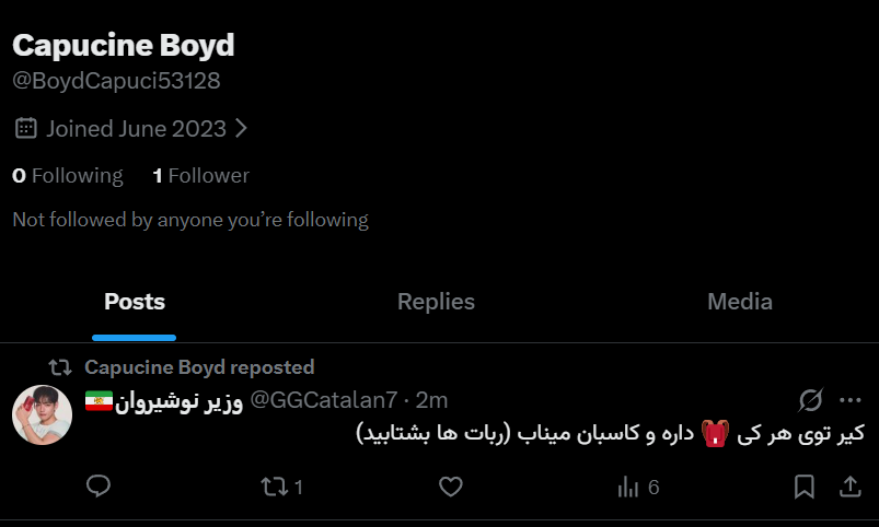 🇮🇷وزیر نوشیروان tweet media