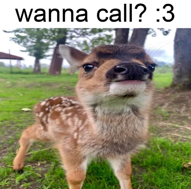 mfing deer girl 2sday tweet media