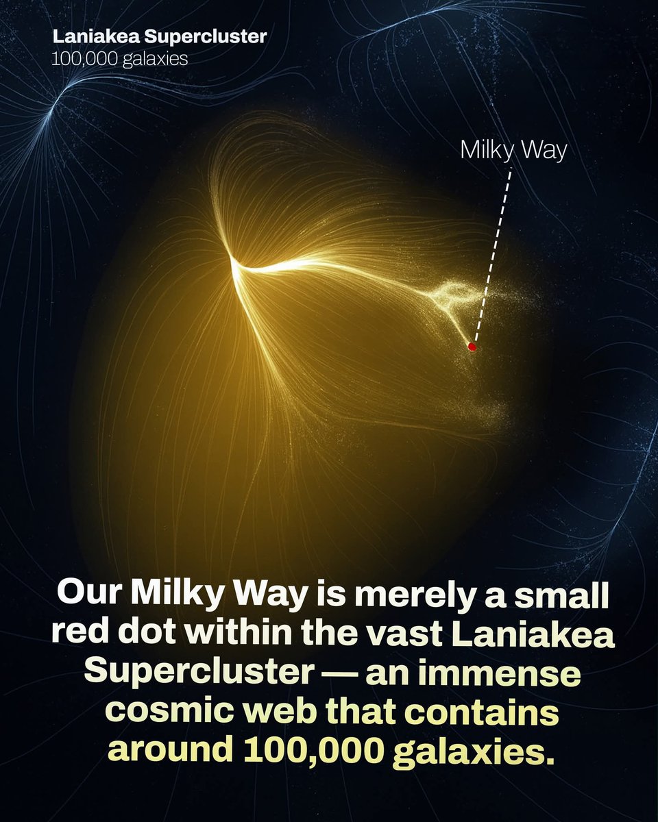 AstronomyVibes's tweet photo. Our Milky Way rests deep inside the Laniakea Supercluster — a colossal cosmic web stretching across 500 million light-years. Within this immense structure, gravity guides the motion of roughly 100,000 galaxies, all flowing together toward a region known as the Great Attractor. The tiny red dot marking our galaxy shows just how small we are in this vast interconnected system. Every glowing filament in this map represents streams of galaxies moving through space, bound by invisible cosmic forces. The Laniakea Supercluster shows that even our entire galaxy is just one thread in the universe’s grand design.