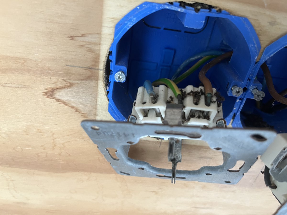 arnoldvdm's tweet photo. De mieren waren zo hardnekkig dat ze de elektradozen voor mierendozen aanzagen en daar begonnen te knagen.... gevolg: knisperend geluid en niet meer werken.
#Electra #Elektra #Kapot #Mieren #Ongedierte #Stuk #Beestjes #Insecten #Plaag https://t.co/zeK1Tp6rYV