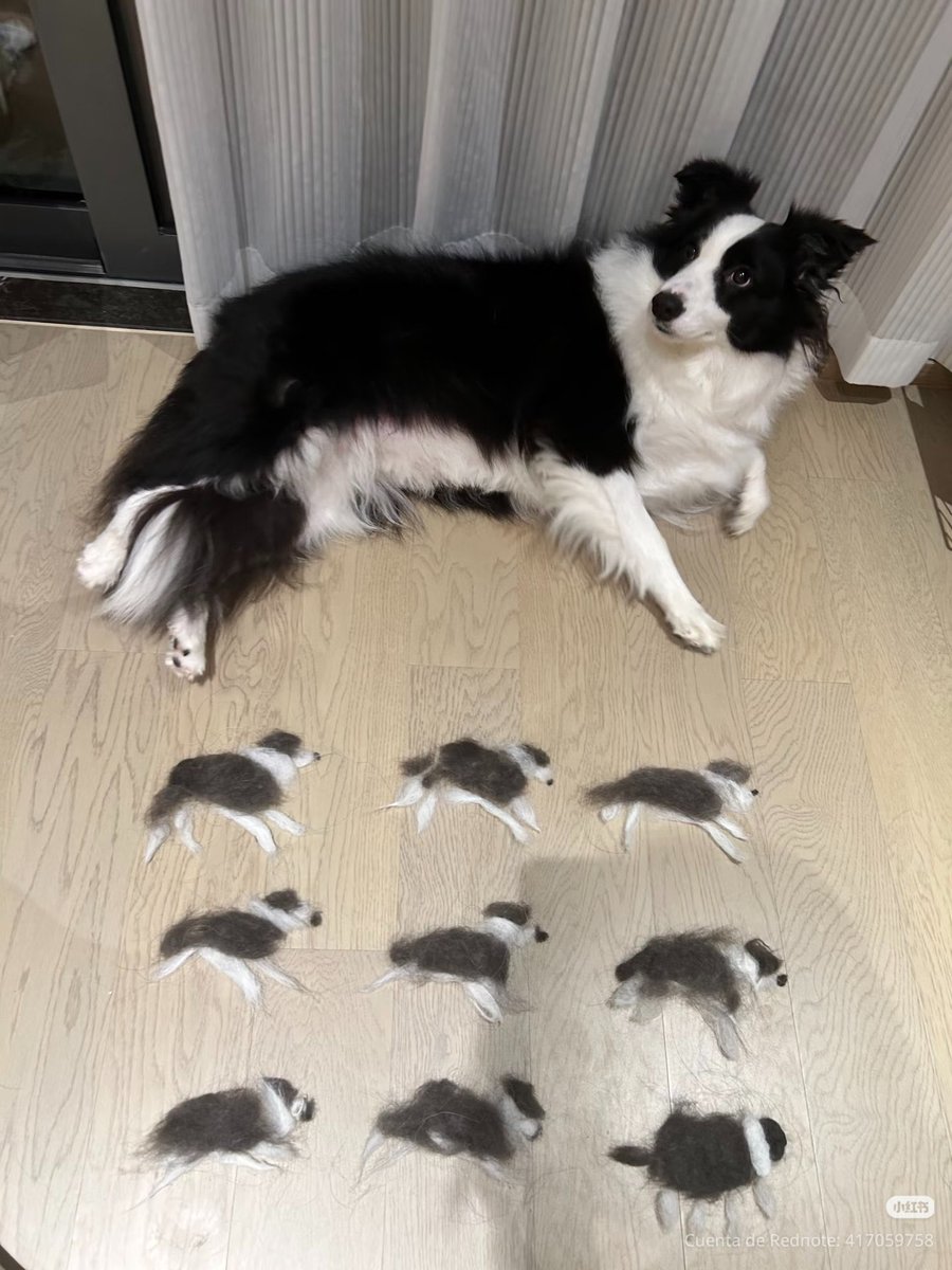 twaniimals's tweet photo. https://t.co/gGJn4tH6KI
