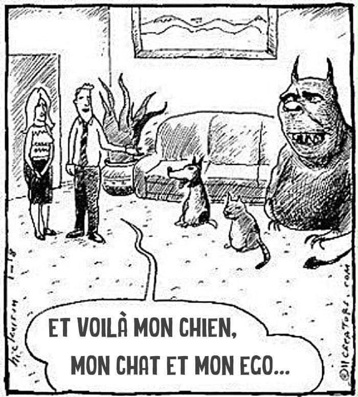 NewseCommenti's tweet photo. Questa mi fa troppo ridere 🤣🤣🤣 https://t.co/mQIXVOYHWo
