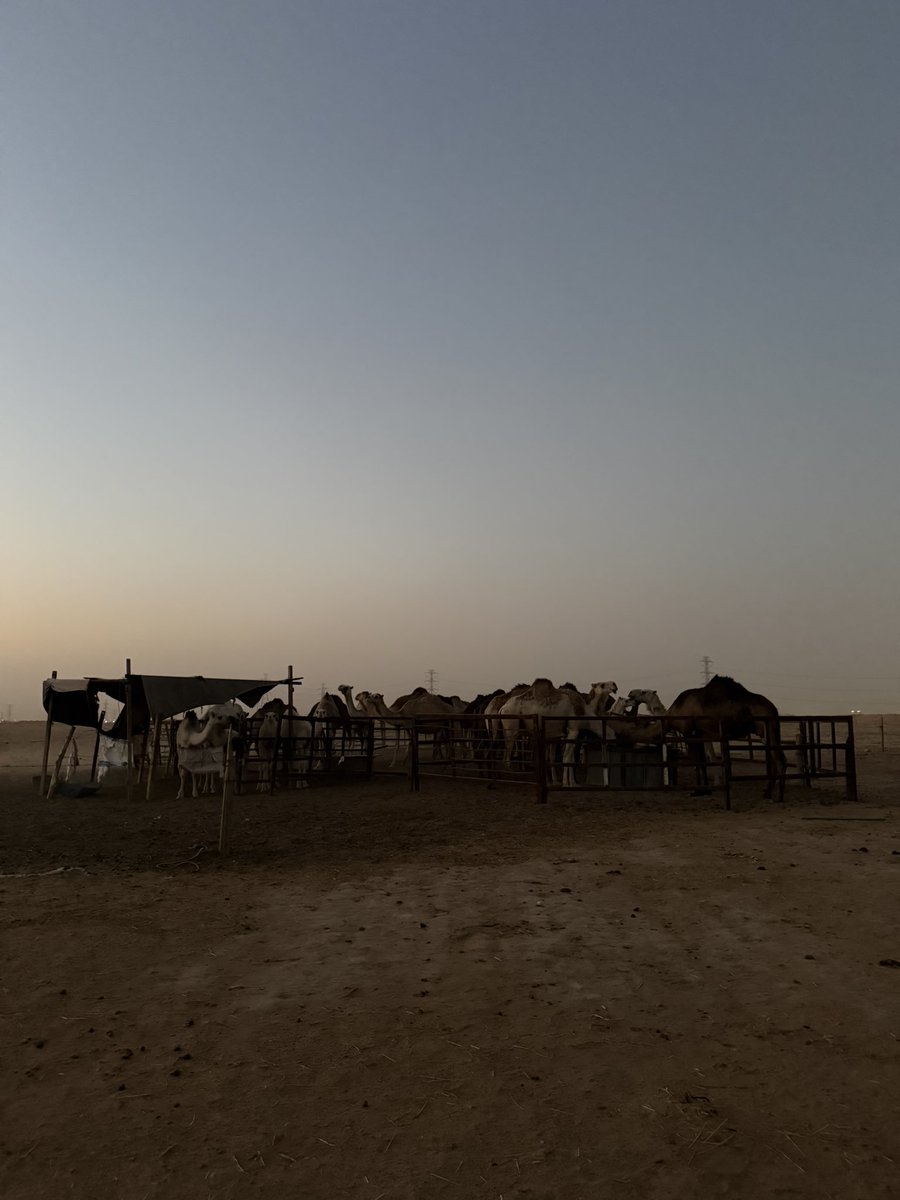 FW0100's tweet photo. أَمْسَيْنَا وَأَمْسَى الْمُلْكُ لِلَّهِ، وَالْحَمْدُ لِلَّهِ، لاَ إِلَهَ إِلاَّ اللهُ وَحْدَهُ لاَ شَرِيكَ لَهُ، لَهُ الْمُلْكُ وَلَهُ الْحَمْدُ وَهُوَ عَلَى كُلِّ شَيْءٍ قَدِيرٌ https://t.co/scqEimmsz7