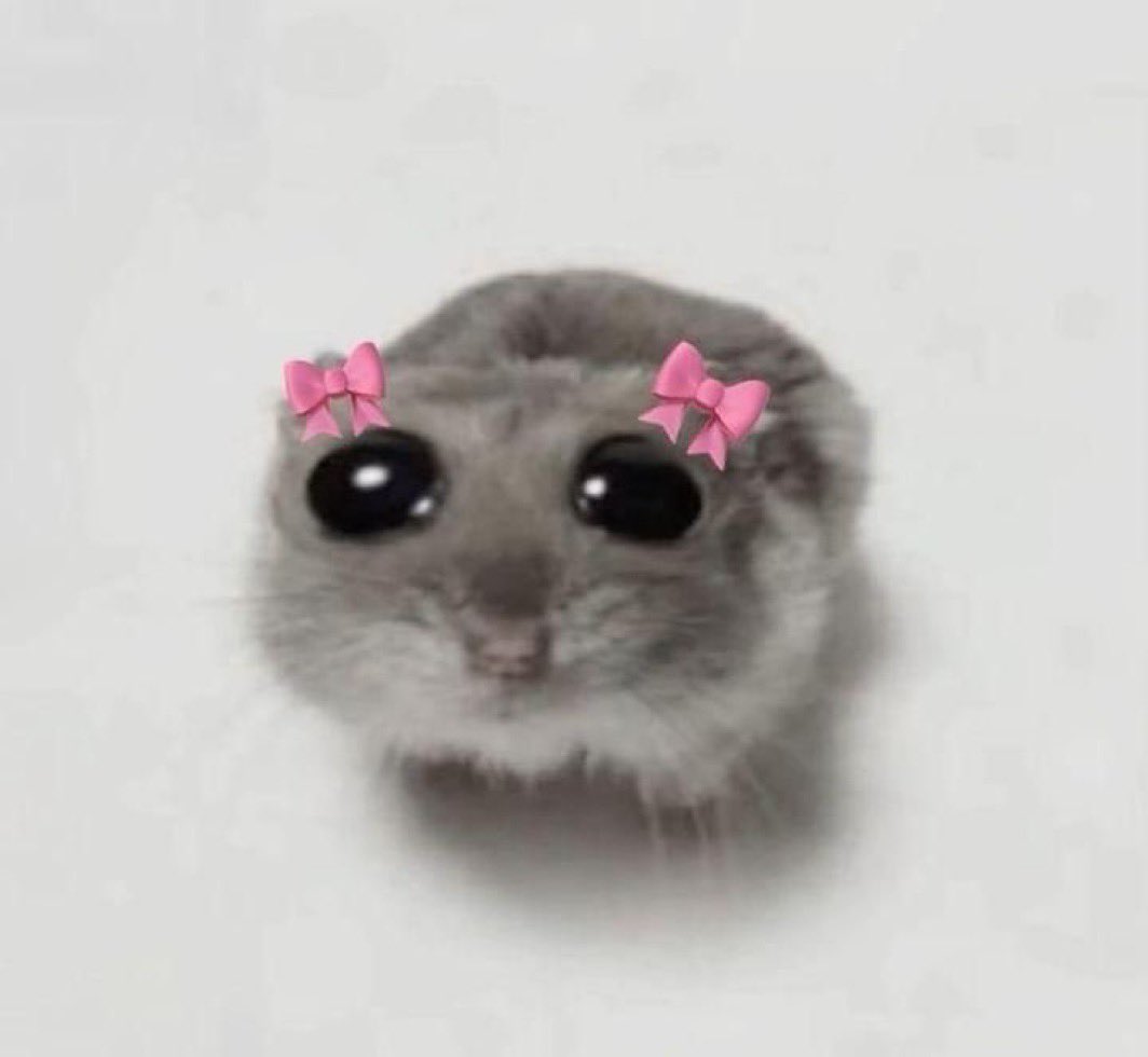 🫧Mouse🐭•ABDL• tweet media