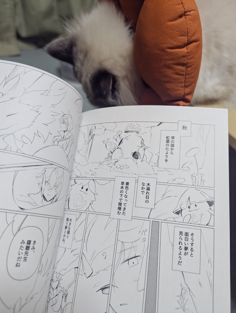 むかし無配にした漫画の余りが出てきて懐かしかった(/_;) 