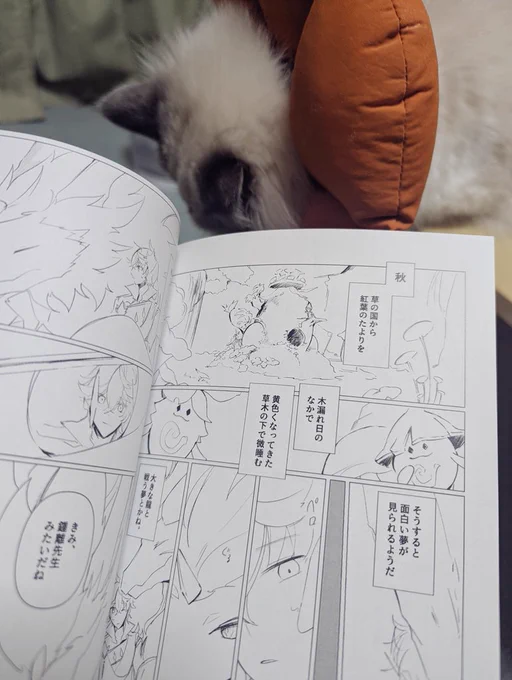 むかし無配にした漫画の余りが出てきて懐かしかった(/_;) 