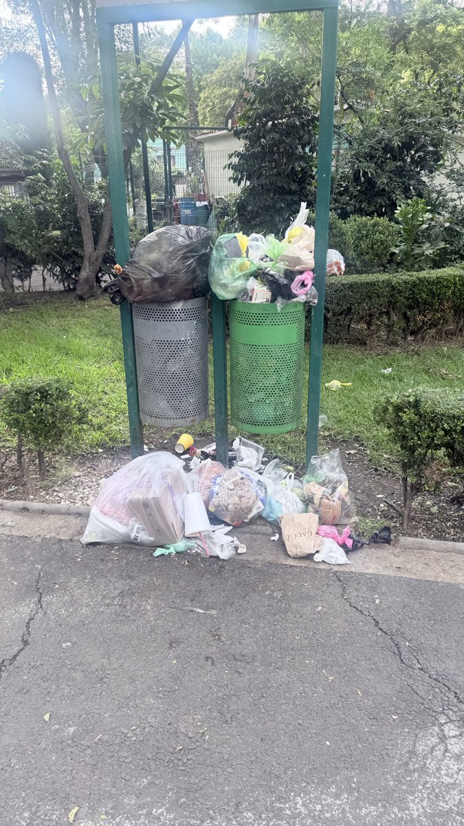 alinzichy's tweet photo. @BJAlcaldia hola! Para hacer una solicitud de limpieza en un parque a quien debo dirigirme? 
Es el parque de la colonia Postal https://t.co/URnu7M6ugf