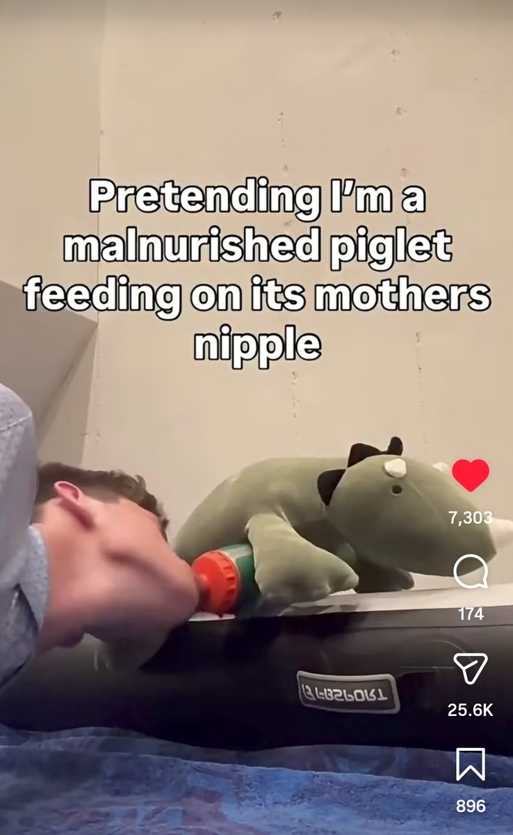 HypedToj's tweet photo. #relatable https://t.co/AAkzYH6gbS