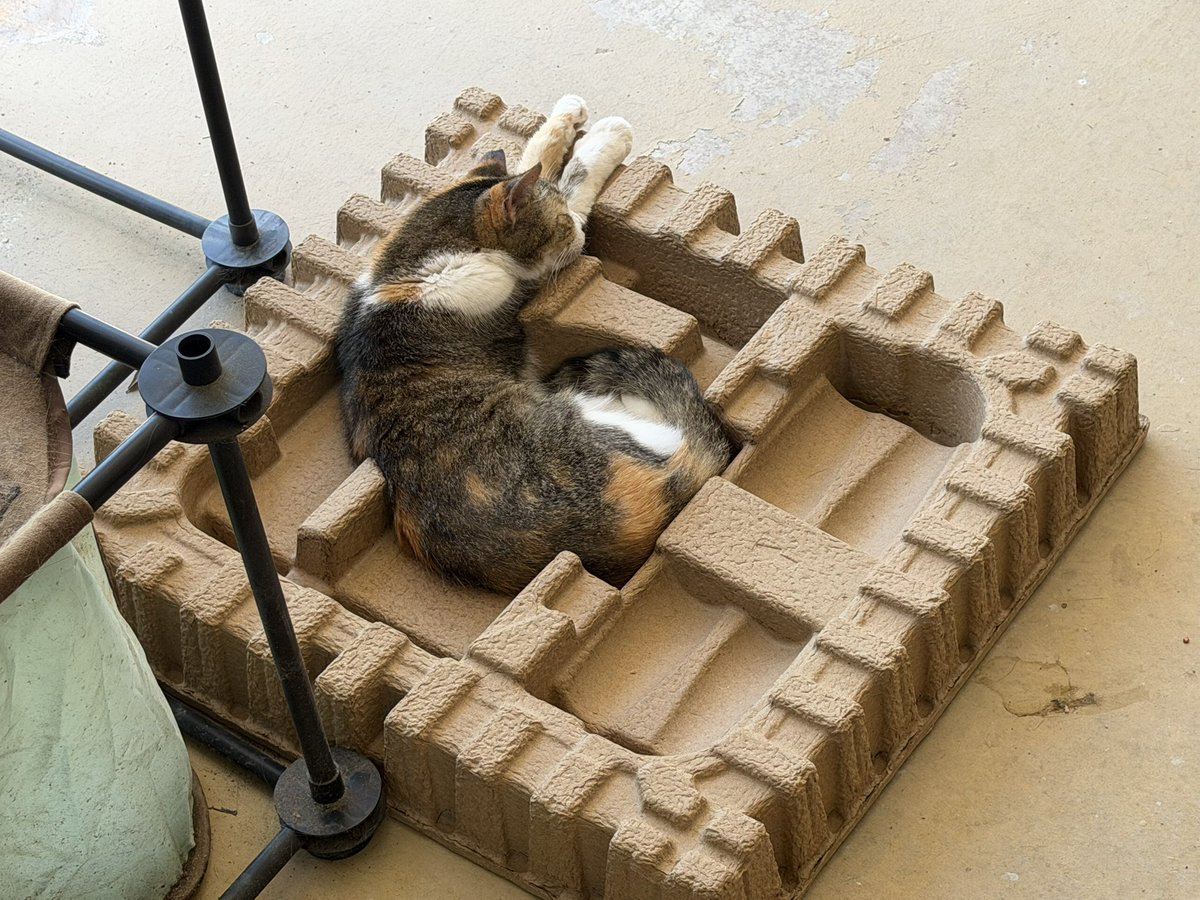 SkittlesFriends's tweet photo. Skittles: Hello Everyone, it’s a peaceful and relaxing #CatBoxSunday here on the Catico as I stretch out my Paws and Send Purrs and Meditations of Peace, Love, Compassion, Happiness, and Hope to all of Furrends.
☮️💖😸
#CatsofTwitter 
#Purrs4Peace https://t.co/pVyhrXOTDT