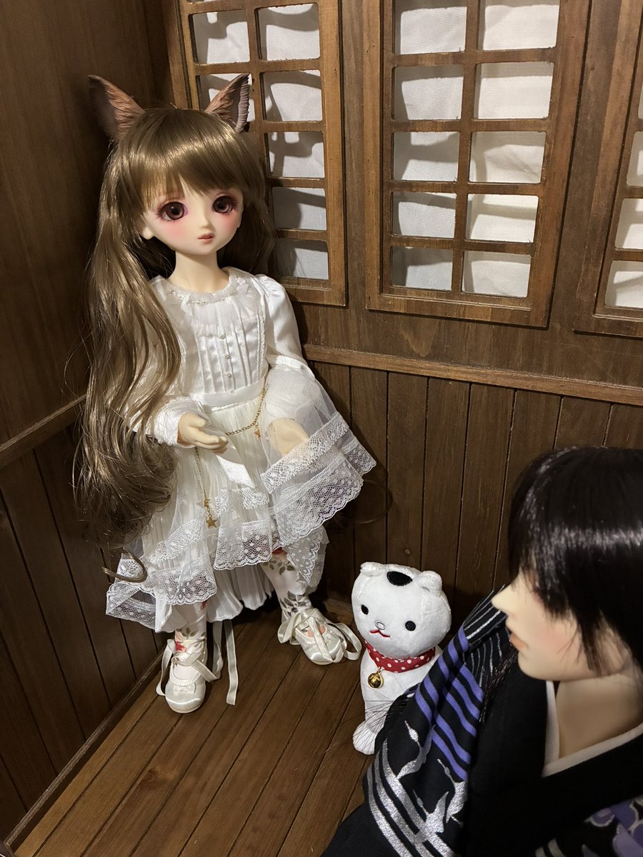 takanashi_tei's tweet photo. #千代とまさお #DearSD
京都ドルパにむけて一張羅を引っ張り出してくる千代とワンオフごっこするまさお。 https://t.co/kb7ogWlm21