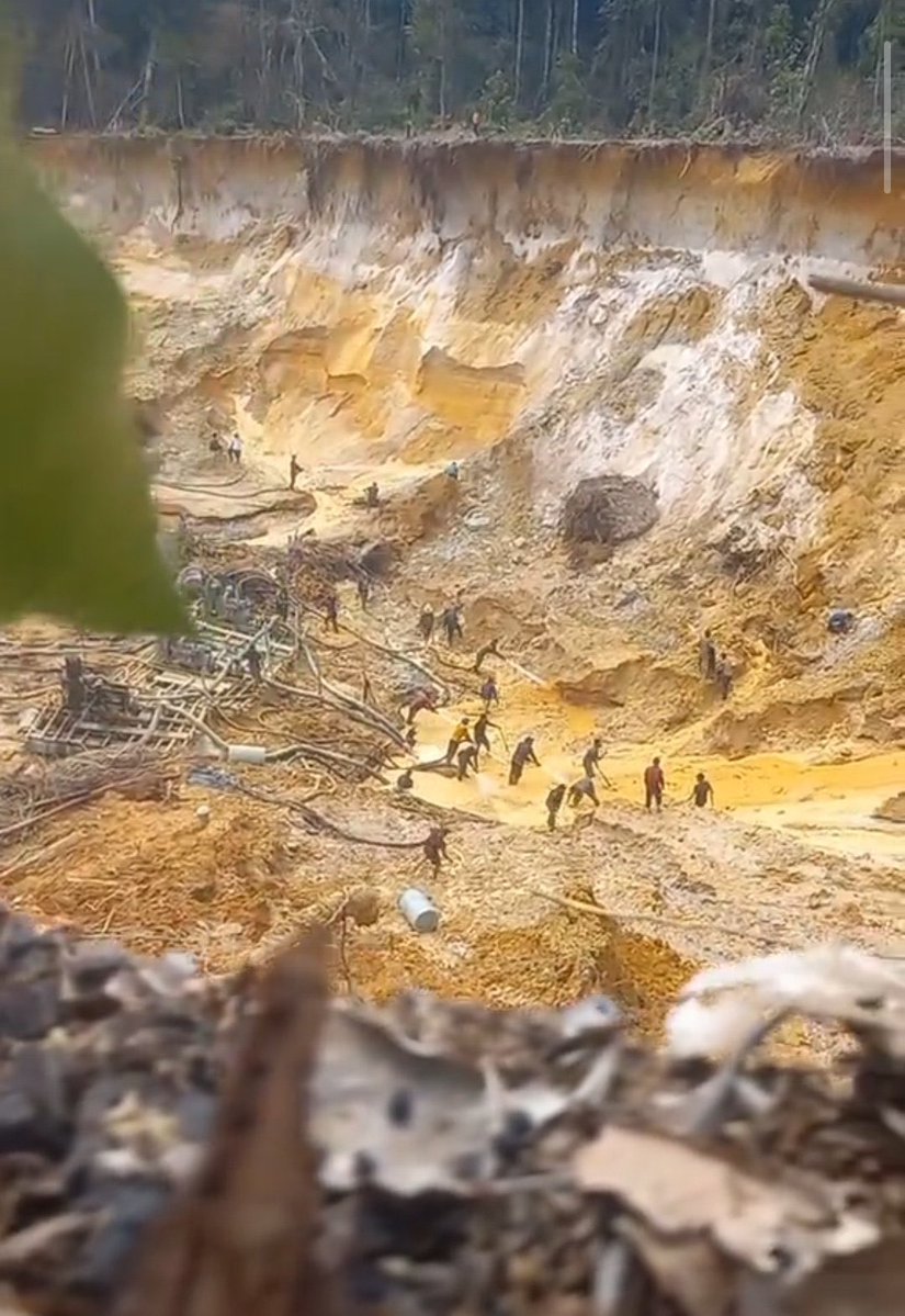 cheo070777's tweet photo. #Atencion #Venezuela 

Se evidencia el traslado de motores de alta cilindrada para incrementar la devastación de los bosques ribereños de la cuenca media del Caroní 

...la destrucción del #SurDelOrinoco continúa! 

#AmbienteSinDerechos https://t.co/oD6k1i4EbL