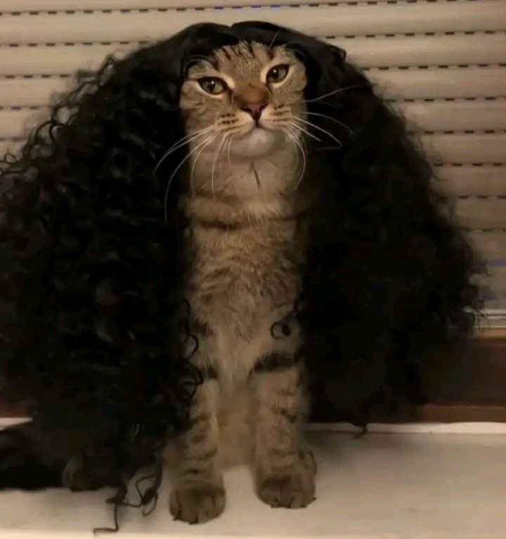 الكوتش خالد tweet media