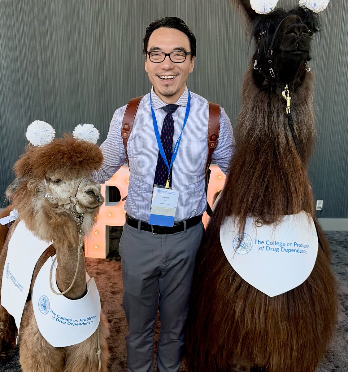 seanluomdphd's tweet photo. They have animals outside #cpdd26 https://t.co/HhGUibrteA