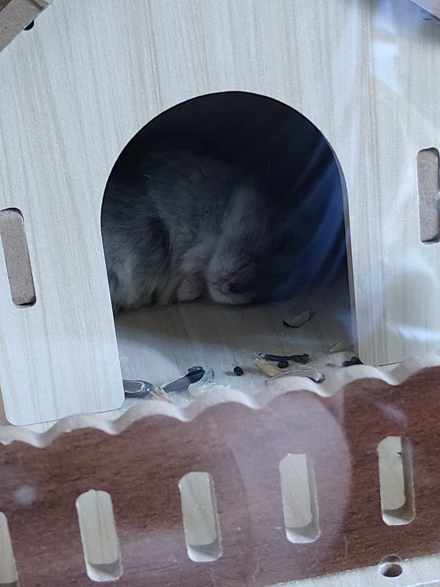 jiahu_'s tweet photo. 🥰🥰🥰 https://t.co/3o7X1U0RKN