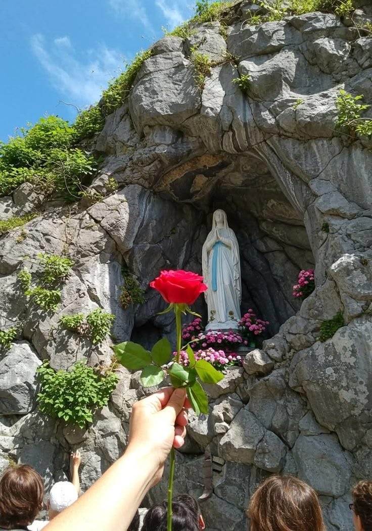 darrosfly's tweet photo. @george_hitti Nostra Signora di Lourdes.
Buona serata George https://t.co/ovnZCJjBzh