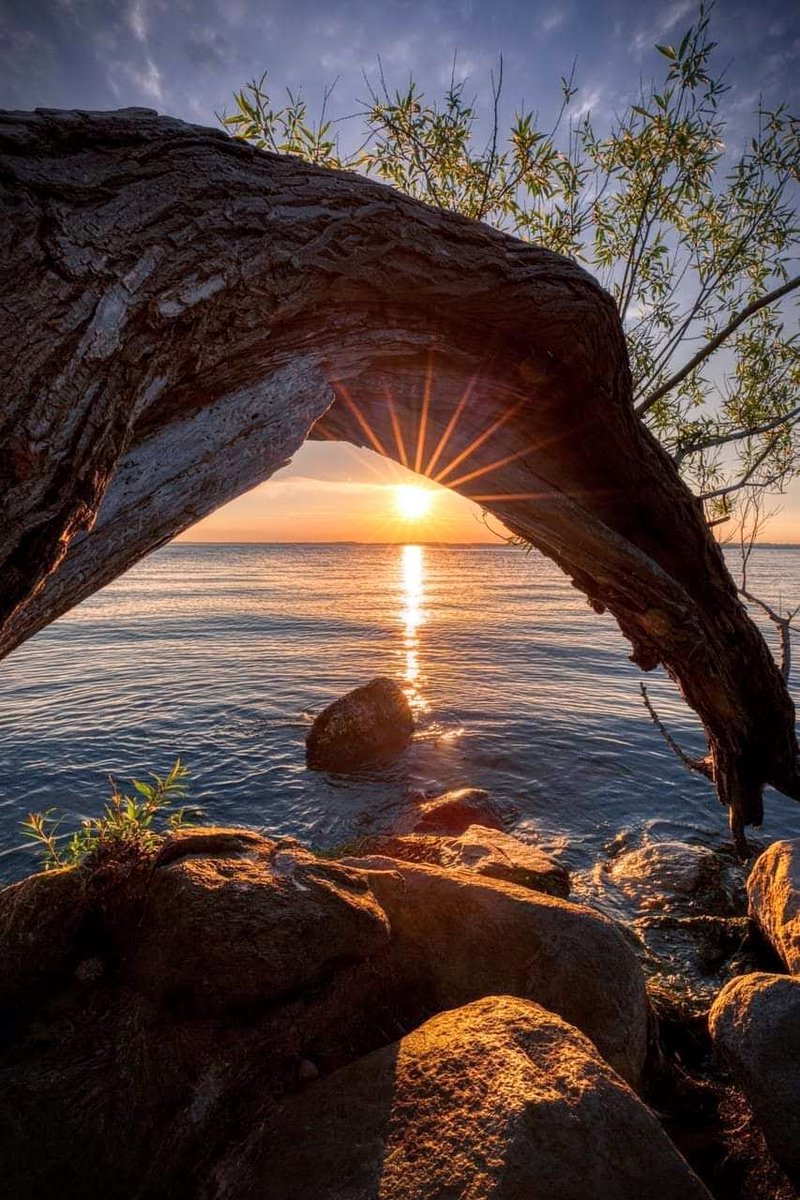Anes101441292's tweet photo. Good evening my friends 🧡 https://t.co/jbUx5YJesV