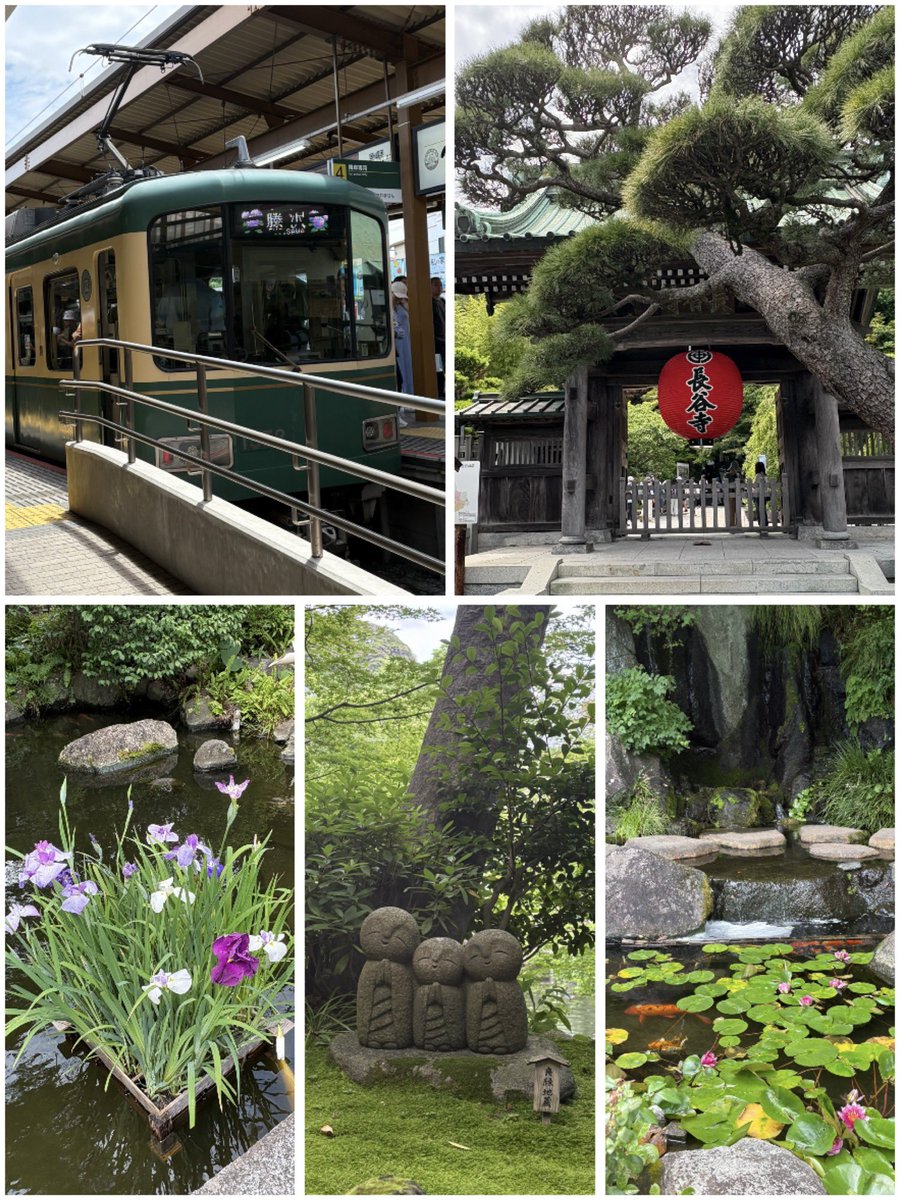 suma_maruko's tweet photo. #木村さーーん
②6月大人鎌倉旅第2弾❤️竹のお寺 報国寺へ🎋

何とも言えない素敵な空間に癒されました✨
紫陽花も見頃の季節💠だったので見に行ってきました🚃𓈒𓂂𓏸

#木村拓哉 #鎌倉
#報国寺 #長谷寺 #紫陽花 https://t.co/rmsF4Ic0CM