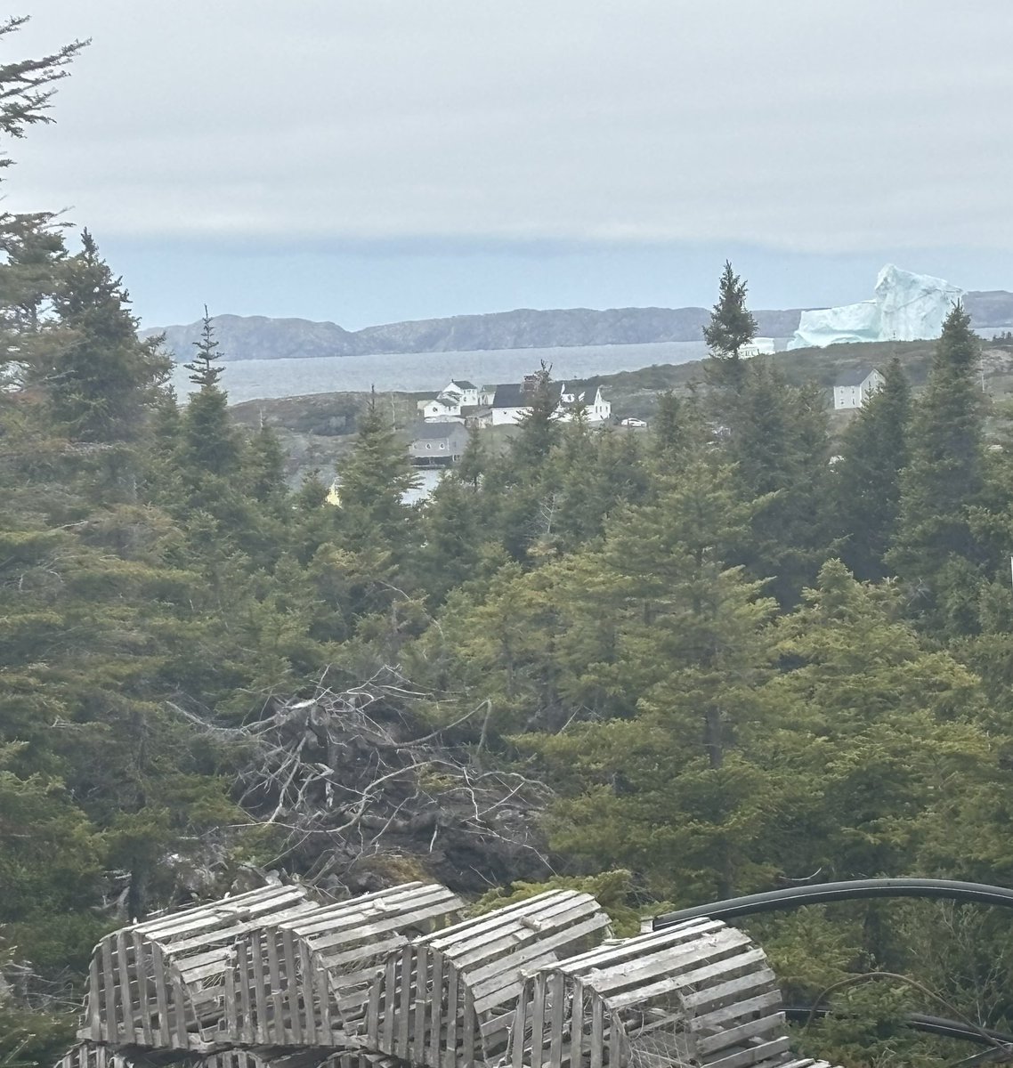 NLBlacksmith's tweet photo. Just another day in paradise #ilivewhereyouvacation #iceberg https://t.co/ig7okFzNpN