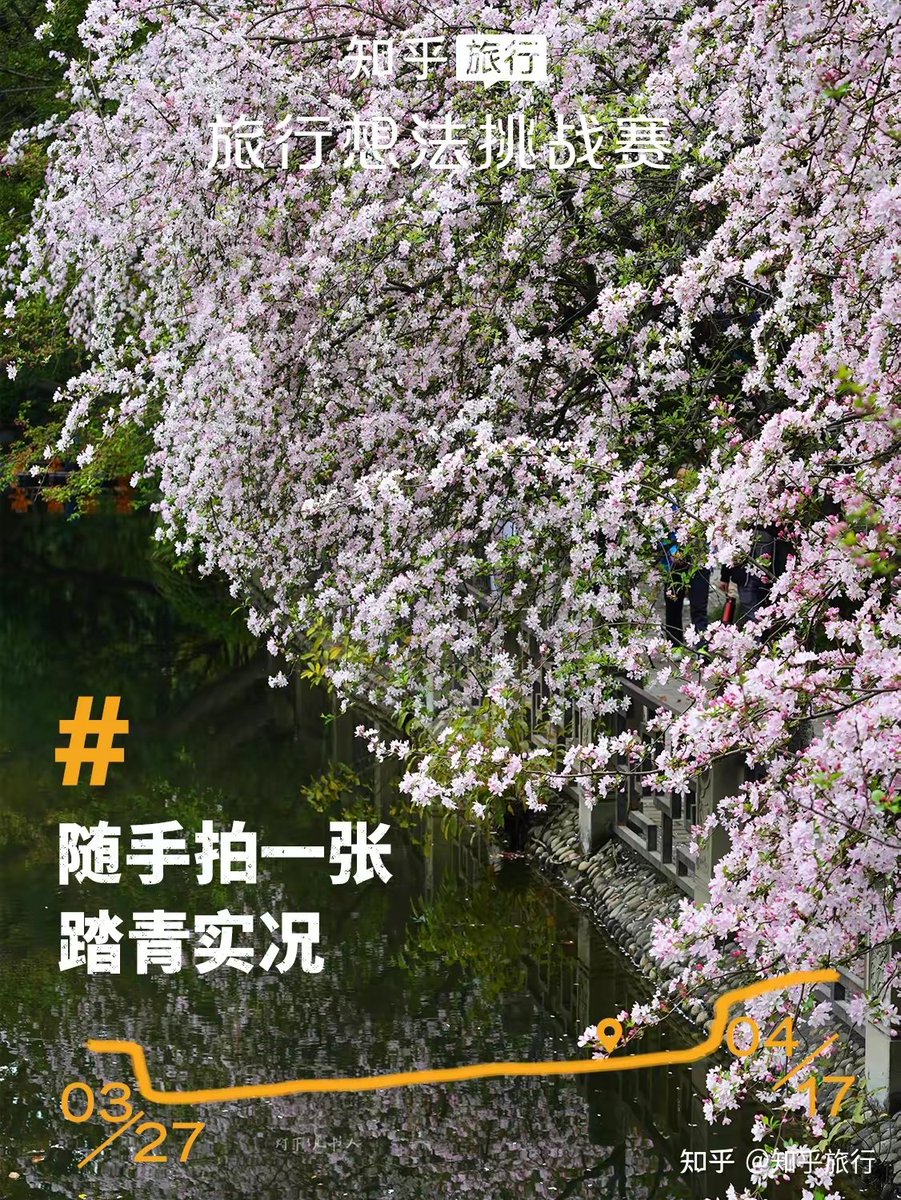 VivoWorld's tweet photo. [Life update: Got back my morning run rhythm after 6 months of busy work – the early sun and own pace make every day feel fresh!]， https://t.co/XtHyRx5jUn