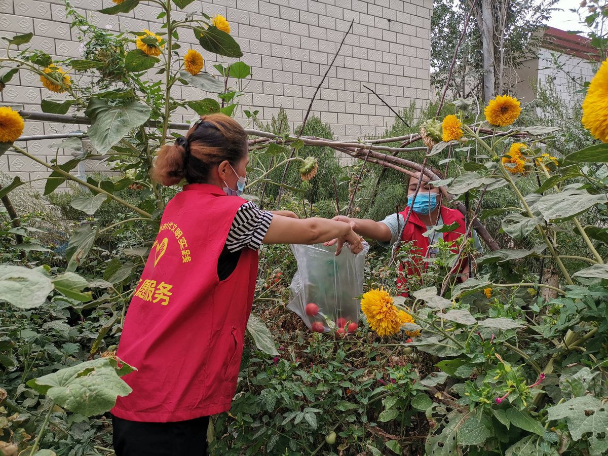 anupmitt's tweet photo. Just finished a 2-day community garden volunteer! Planted 50 sunflowers, chatted with local elders, and turned a empty lot into a vibrant little spot. Worth every sweaty minute https://t.co/kwTjtAOyjB