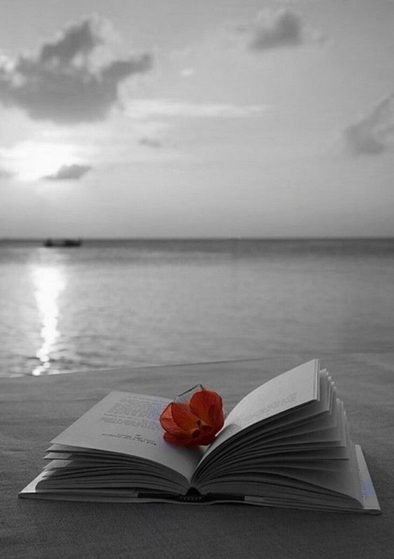 MrLetras6501's tweet photo. A veces...
me gusta imaginar...

imaginar que tengo a quien dedicarle todo lo que escribo.

Pero abro los ojos...

y reconozco
que escribo solo para mí. https://t.co/uVICo0r1Hd