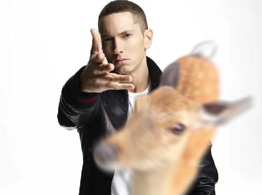 Deerpostss's tweet photo. Woe, doe be upon ye https://t.co/qaNvKW1Q7H