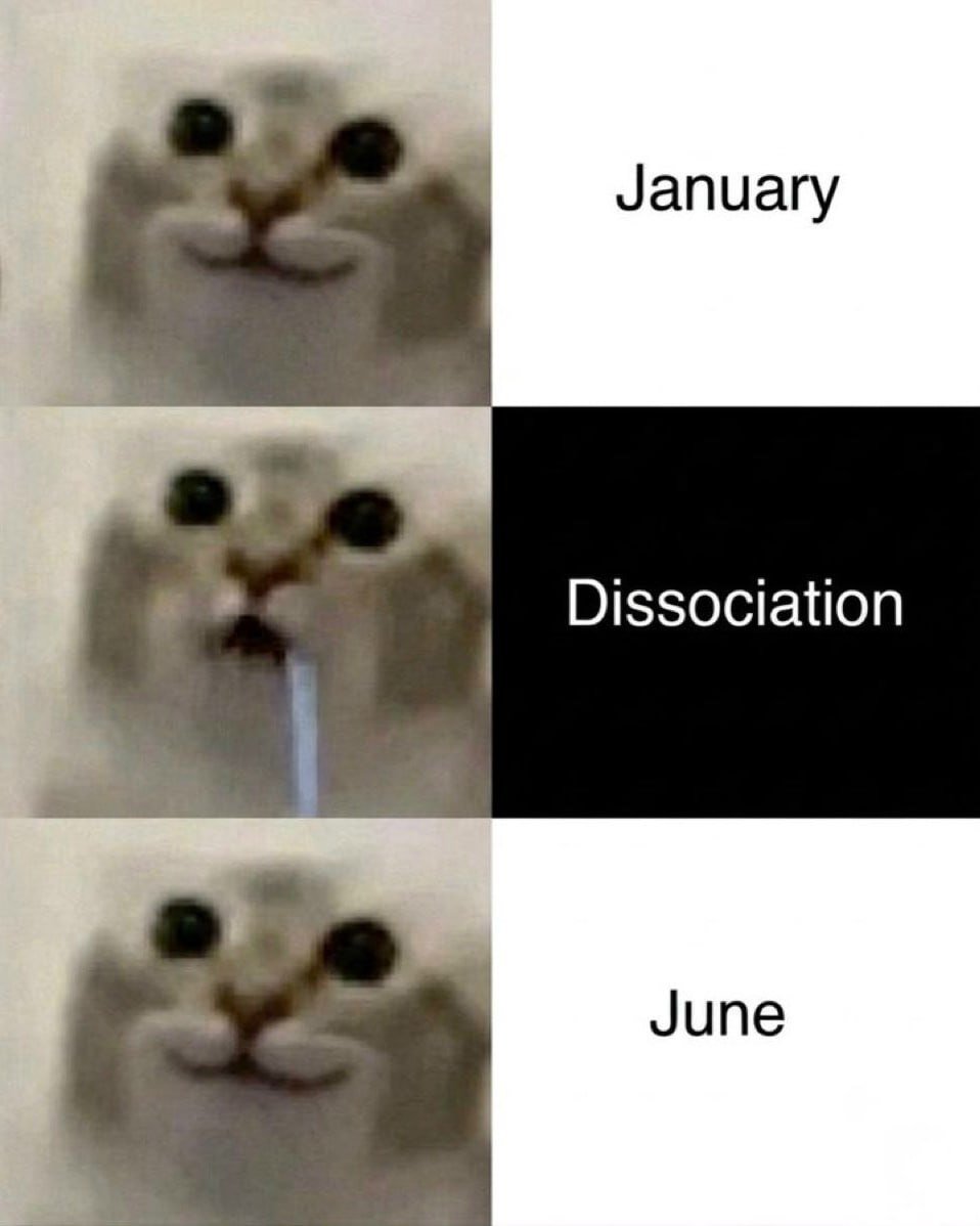 MEMES DAILY tweet media
