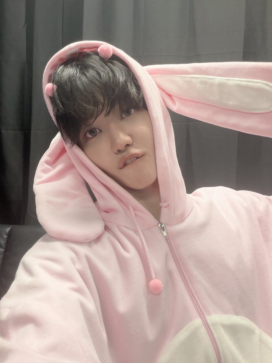 archivenjm's tweet photo. 💭🐰🐱 https://t.co/DFIh8TFCLn