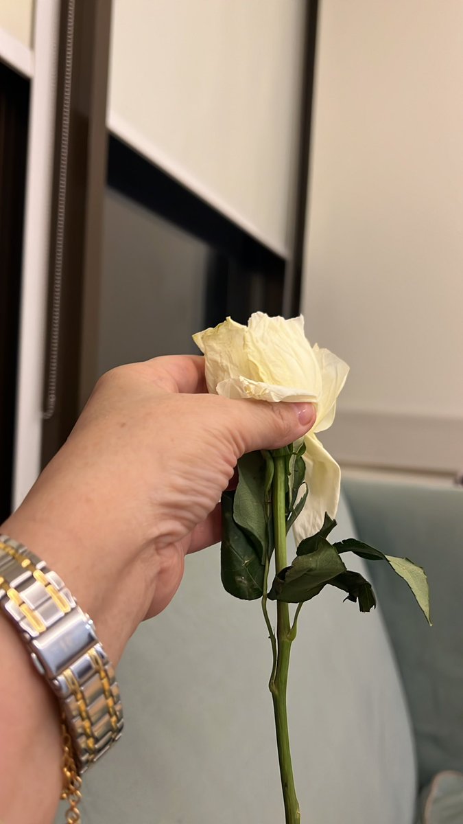 wardh_65's tweet photo. أميل النفسي بزياده لدرجه ما يلفت انتباهي إلا اللي فيه من أطباعي♥️👌 https://t.co/ctHXT6ctPX