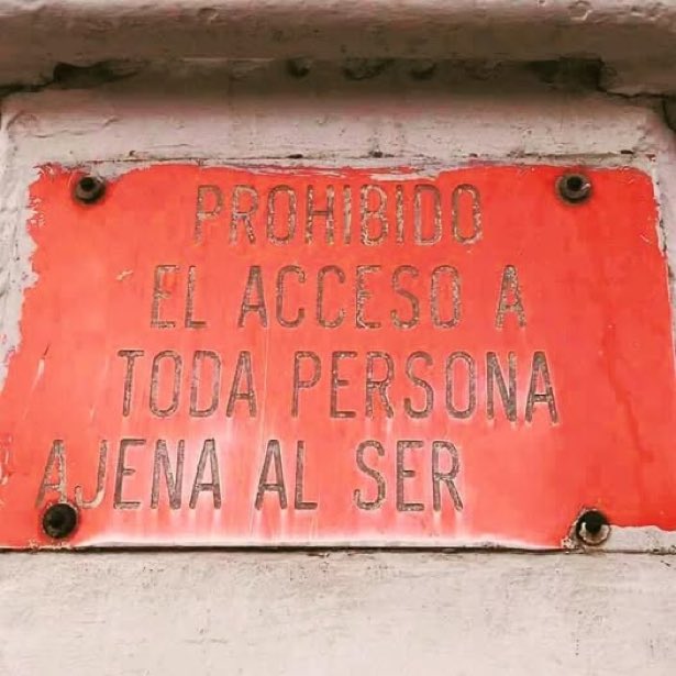 monahierve's tweet photo. domingo https://t.co/nKnEqmavIm