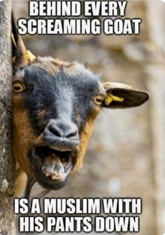 DrWolf666666's tweet photo. Please spare a thought for goats in muslim countries during the world cup. For every win these countries have, these poor creatures are forced to join in with the ... celebrations after the match😒#worldcup #sosgoat https://t.co/cOxvMqh3zo
