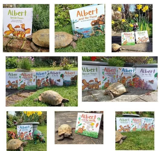 AlbertTortoise's tweet photo. He #inspires them. He checks them. He has been known to pose with them... #ALBERTthetortoise is all about multi-tasking. #AvailableNow 9 #ALBERT #picturebooks, 3 #BoardBooks & #ActivityBook https://t.co/sGYhBlFUhP
#tortoise #bookseries #garden #storytime #illustrated https://t.co/GfLPR68zPp