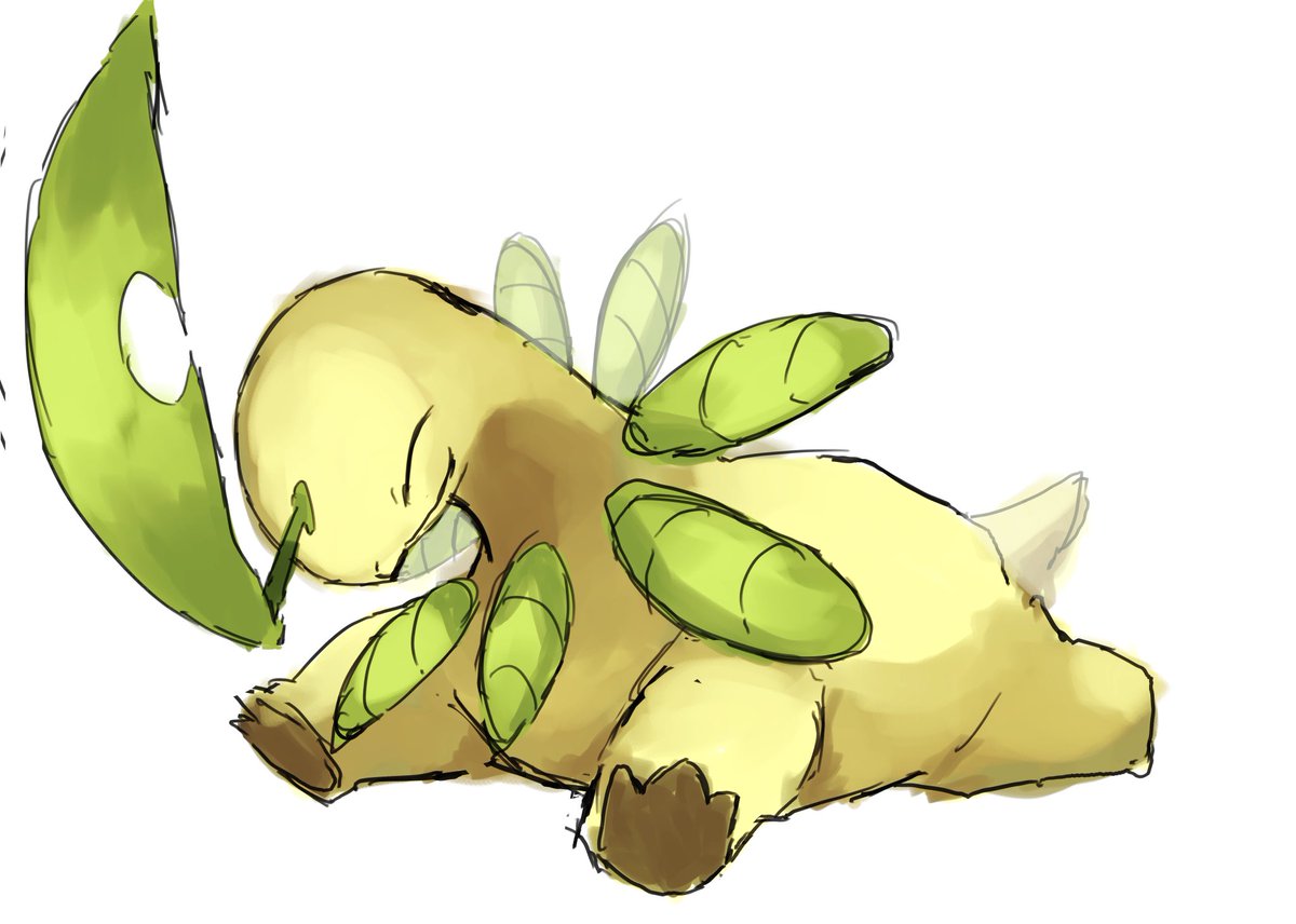 犬 tweet media