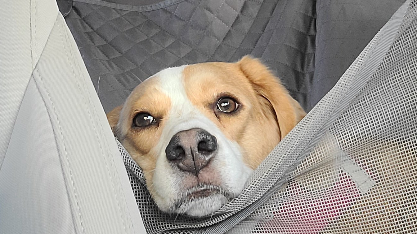 His face when I said were heading home. https://t.co/P4R2GqXqXm