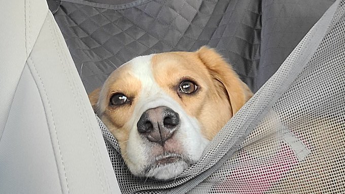 Eldritch Purity Sin - His face when I said were heading home. https://t.co/P4R2GqXqXm