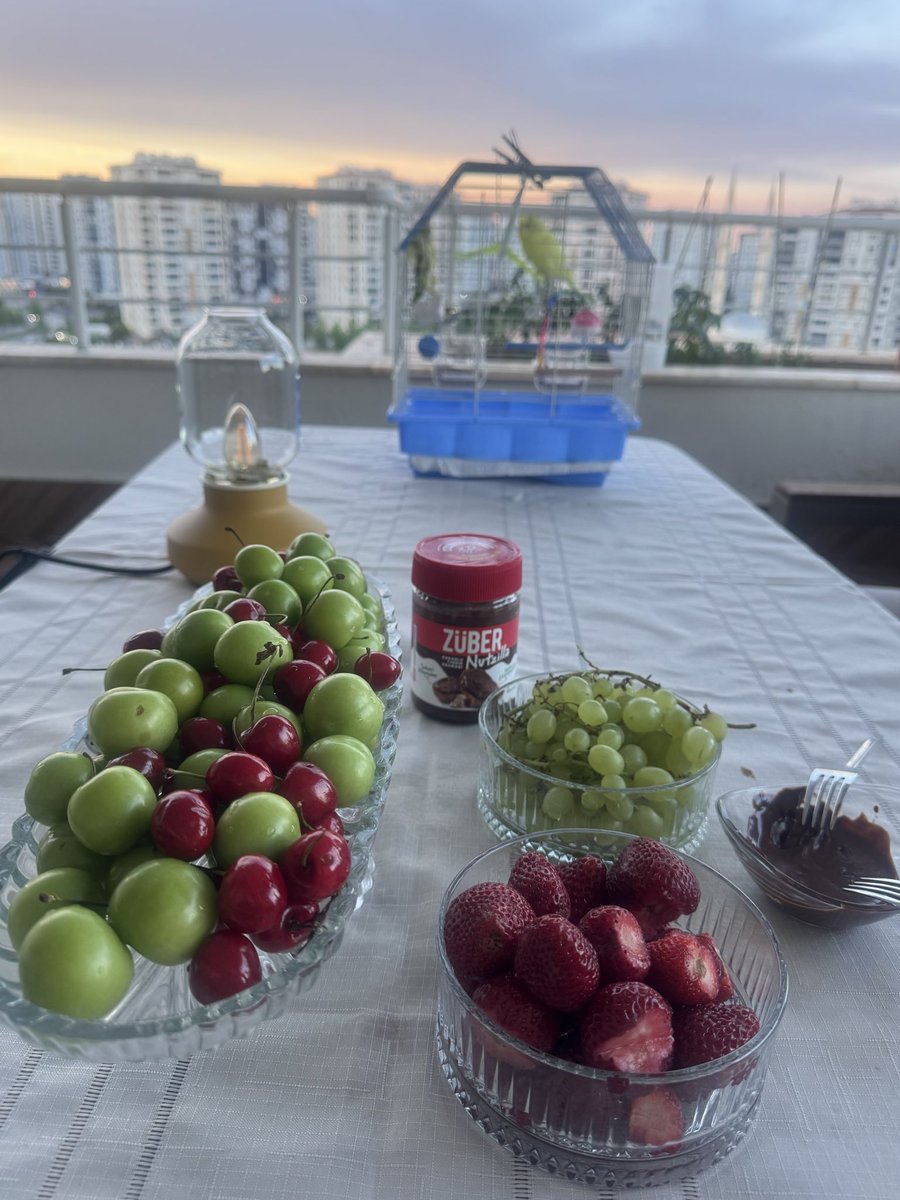 busraKaratekin's tweet photo. Yaz yaz yaz 😍 https://t.co/0gWxwXtVSv