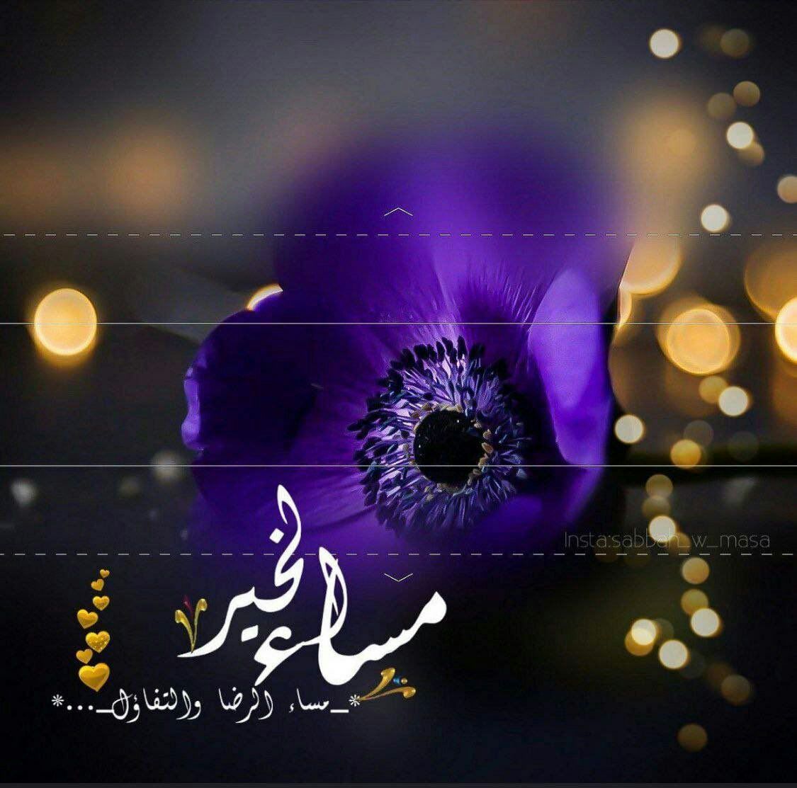 💙جود💙 tweet media