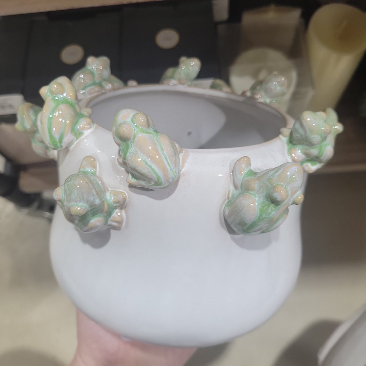 Onerealphear's tweet photo. Don't go to Pike's, don't go to Pike's... me... 15 minutes later...
#cute #planter #gardencenter #frog🐸 #gardenaddict 💜💚 https://t.co/ozFH3WX0U4